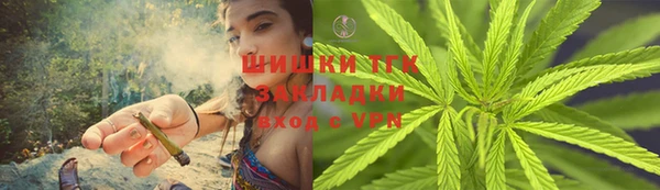 PSILOCYBIN Бородино