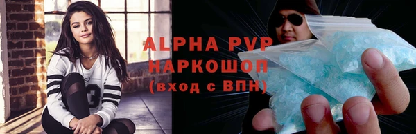 PSILOCYBIN Бородино