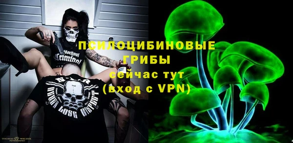скорость Богородицк
