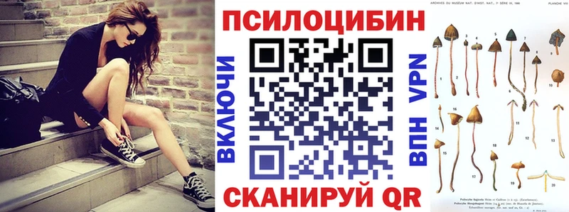 сколько стоит  Кстово  Псилоцибиновые грибы прущие грибы 